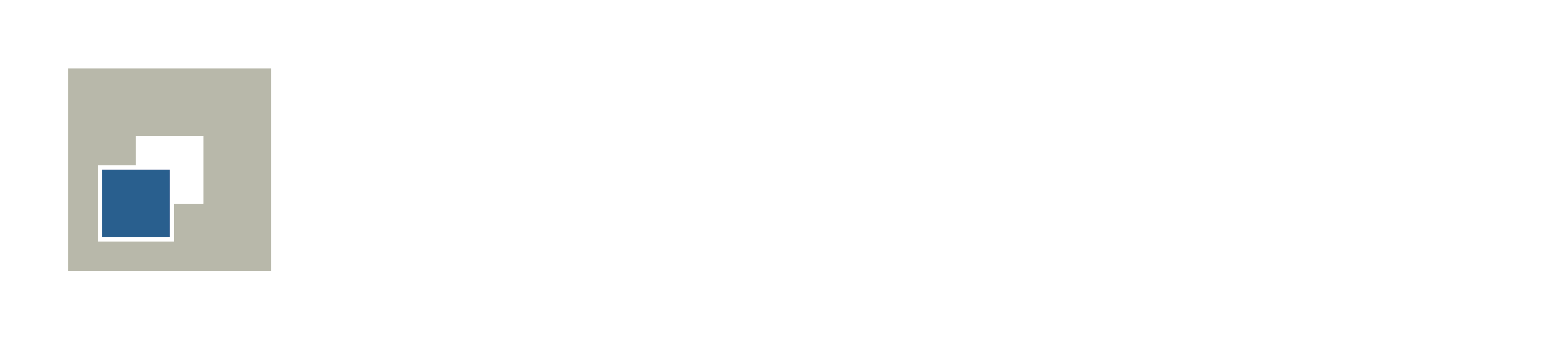 seidemann: solutions – Logo